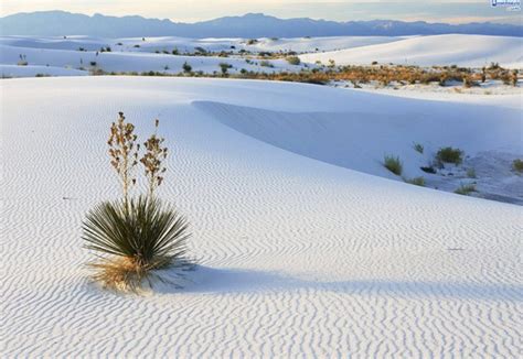 The World Geography 9 Really Unusual Deserts