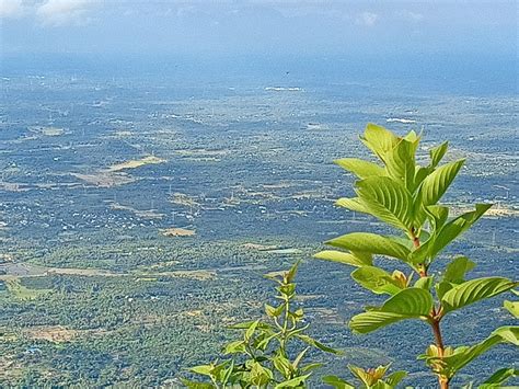 Valley Landscape Kerala Free Photo On Pixabay Pixabay