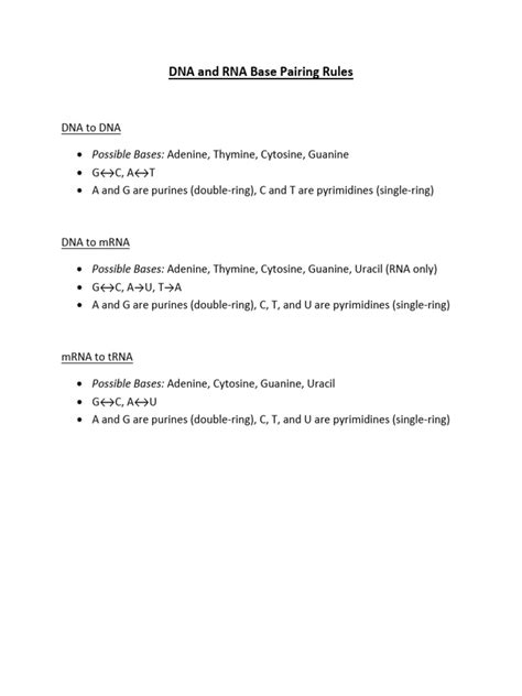 DNA RNA Base Pairing Rules | PDF