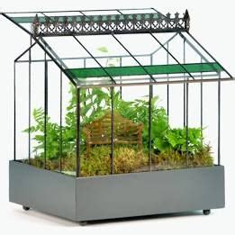 Best Wardian Cases Terrariums For Sale Your Easy Buying Guide