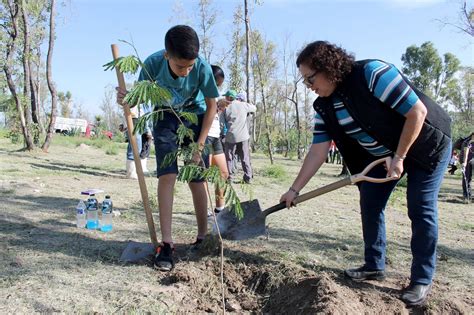 Contin An Los Trabajos De Limpieza Y Reforestaci N En El Cerrito De La Cruz