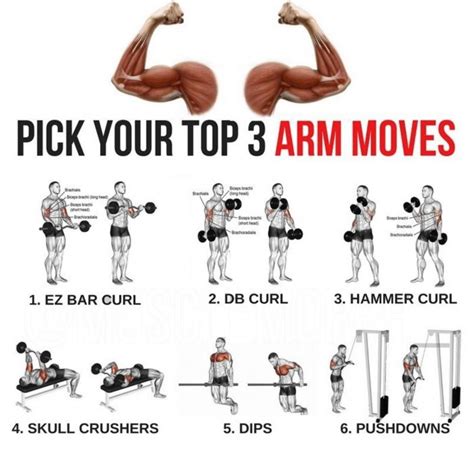 Pick Your Top 3 Arm Moves Bigger Arms Training Plan Big Arm Workout