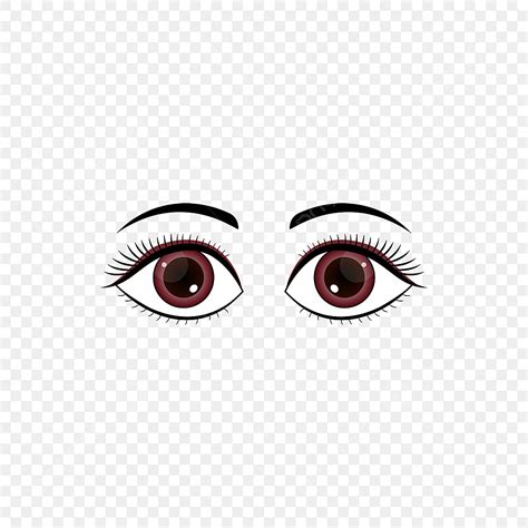 Vetor Olhos Castanhos De Anime Sobrancelhas Material Olhos Clipart