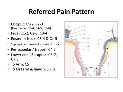Cervical Spine Pain - Dr S L Yadav | PPTX