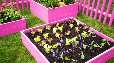 Creative Raised Bed Garden Ideas: Yard Decor For Every Season