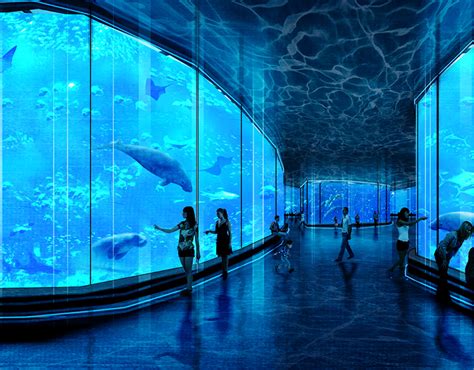 Dugong Research and Conservation Center | Behance