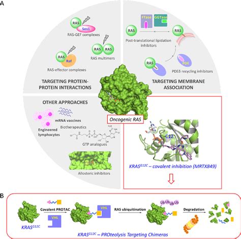 A Prominent Approaches Targeting Oncogenic Ras Including Recent