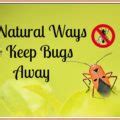 ways   bugs    home  monsoon