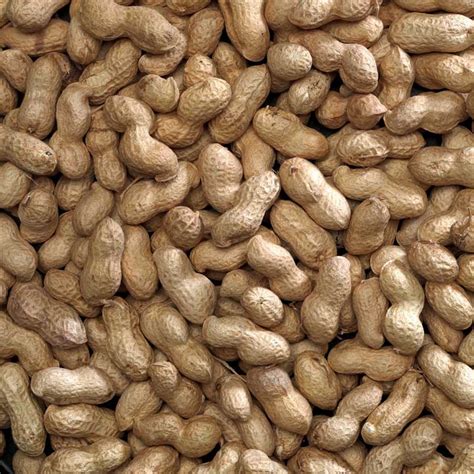 Peanuts In Shell Bucktons