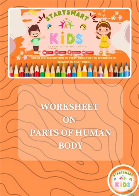 PARTS OF HUMAN BODY: interactive worksheets and online exercises ...