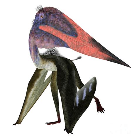 Pterosaur Walking With Dinosaurs