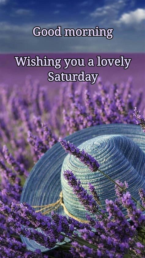 Happy Saturday Morning Purple