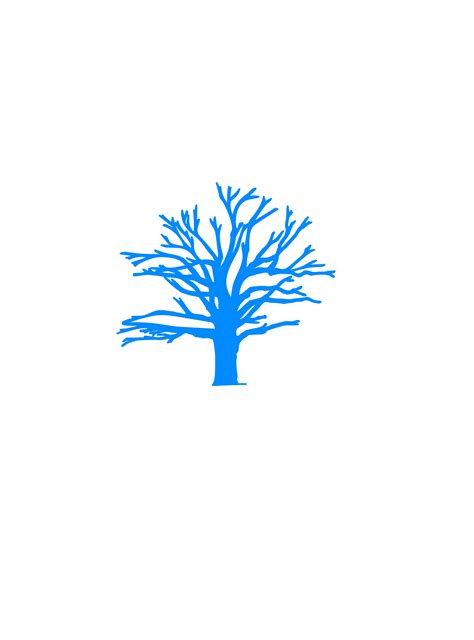 Blue Willow Comprehension Questions