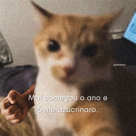 Mal Começou Ou Mau Começou - Petzauun | Mal começou | Instagram