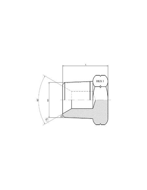 Ax K Npt Bouchon Mle Cnique Npt Inox Aisi Aera Pneumatic