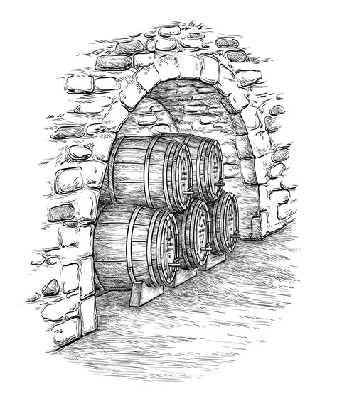 Premium Vector Ancient Cellar With Wine Wooden Barrels Isolated On