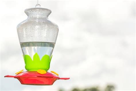 Hummingbird Feeder - Photos by Canva