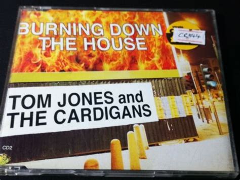 Tom Jones And The Cardigans Burning Down The House Cd Single Ebay