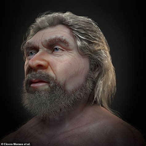 El Bello Rostro Del Hombre De Neandertal Que Murió Hace 56 000 Años