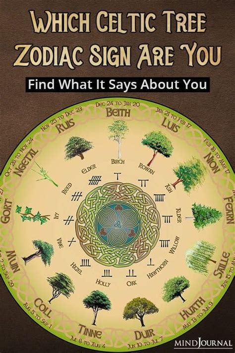 Which Celtic Tree Zodiac Sign Are You And What It Says About You ...