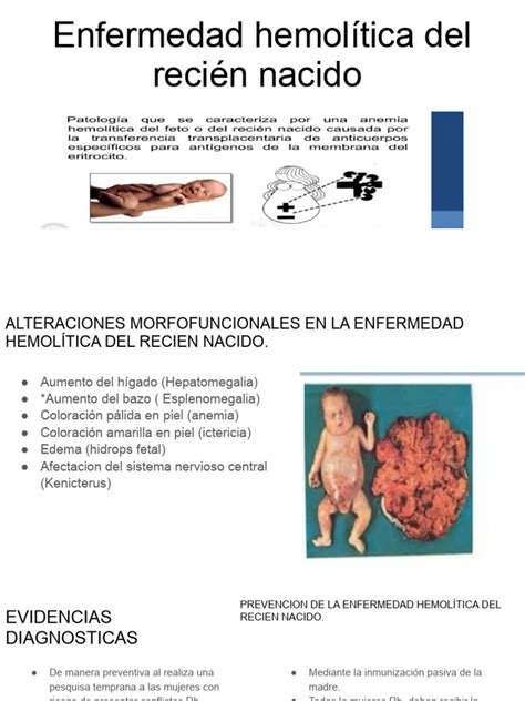 Enfermedad Hemolítica Del Recién Nacido Pdf