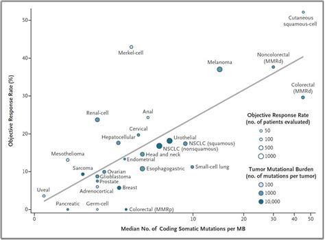 Success Rate Of Immunotherapy For Lung Cancer - CancerWalls