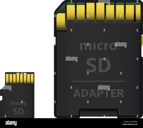 Microsd Card With Sd Card Adapter Isolated On White Vector