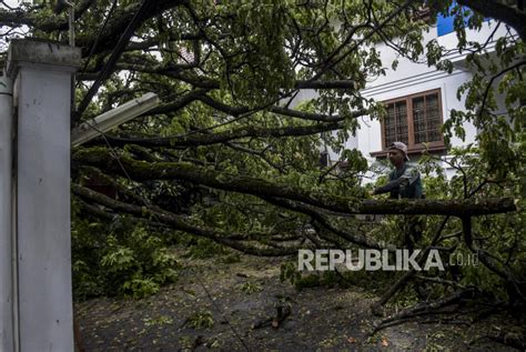 Cuaca Ekstrem Di Bandung Sejumlah Pohon Tumbang Republika Online