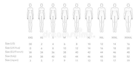 Clothes Croquis Set Stock Illustrations 64 Clothes Croquis Set Stock Illustrations Vectors