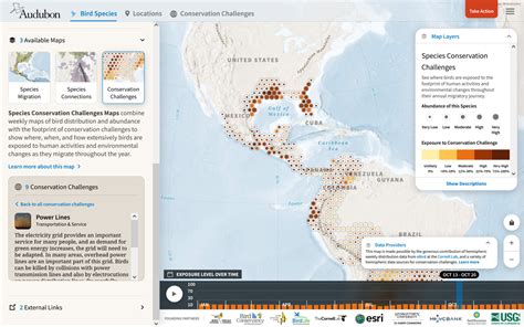 National Audubon Society S Bird Migration Explorer Blue Raster