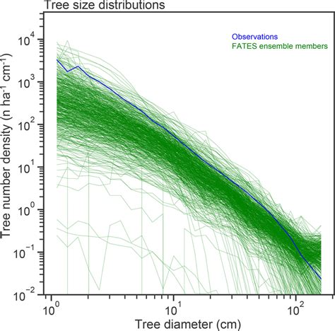 Stem Size Distributions In Number N Of Trees Per Hectare Per