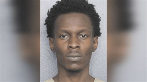 Man Arrested After Deadly Hit And Run Crash In Lauderhill Nbc 6 South