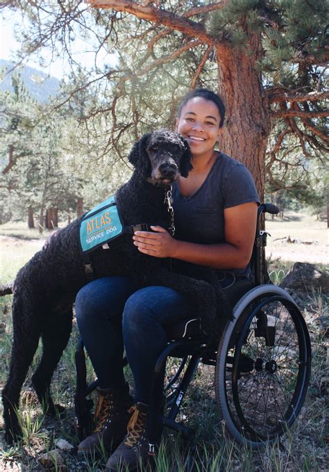 Service Animals - Accessibility (U.S. National Park Service)