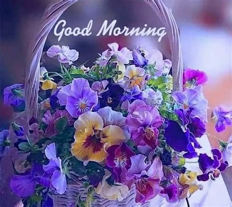 Good Morning Flowers For Whatsapp Video HD Wallpaper Pxfuel