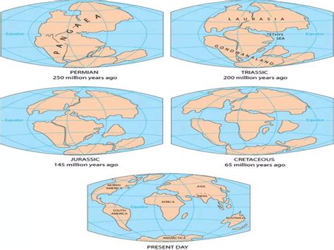 Continental Drift Theory | PPT