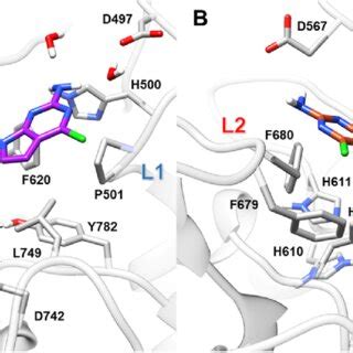 Representative Binding Modes Of Compounds 37 Panel A And 38 Panel B