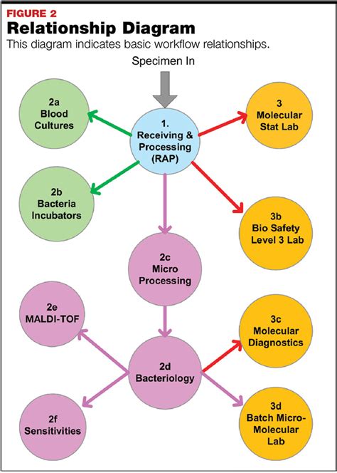 Microbiology Lab Layout