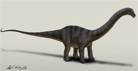 Jurassic World Apatosaurus by NikoRex on DeviantArt