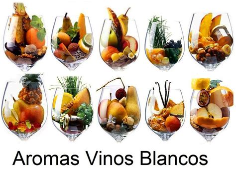 Aromas Del Vino ¿cuantos Tipos Existen ¿cómo Se Clasifican Y Más