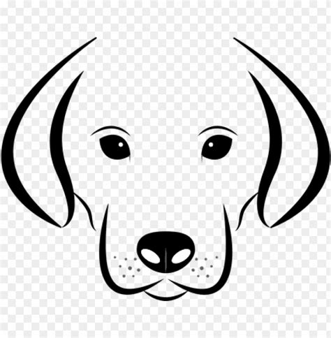 Free Download Hd Png Dog Head White Background Labrador Animal Dog