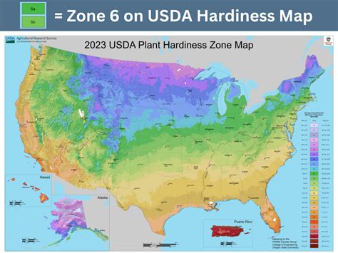 2025 Planting Calendar Zone 6 - Marne Sharona