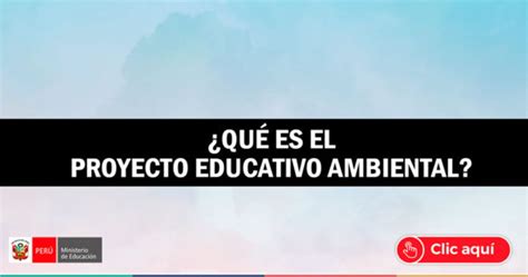 ¿qué Es El Proyecto Educativo Ambiental Ministerio De Educación