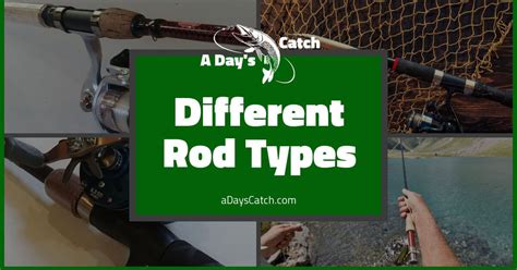 5 Most Popular Types of Fishing Rods For Freshwater | A Day's Catch