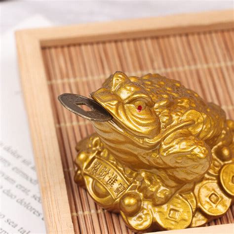 Wealth Golden Frog Toad Coin Chinese Fortune Frog Feng Shui Toad Lucky