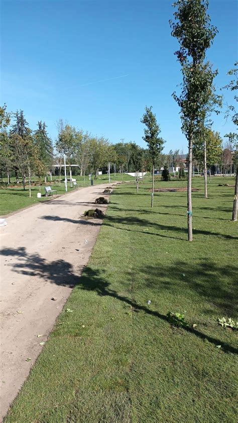 Ziua De Cluj Parcul Feroviarilor Peste Mp De Gazon Peste