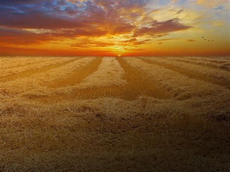 Free Images Landscape Path Sand Horizon Sun Sunset Field Prairie Sunlight Morning