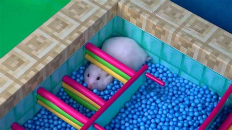 World S Largest Hamster Maze Obstacle Course YouTube