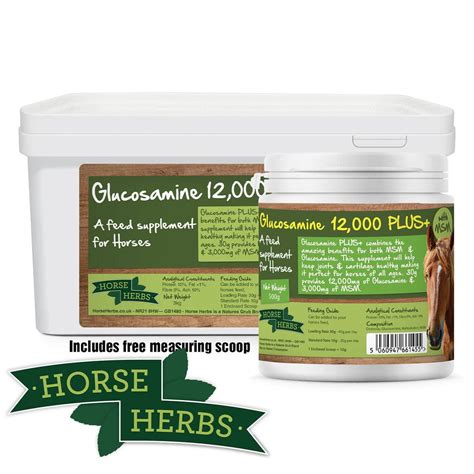 Glucosamine For Horses Laminitis Preventative Horse Herbs