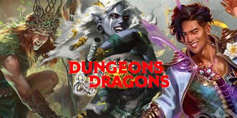 Dnd E Druid Players Handbook Phil Stacie