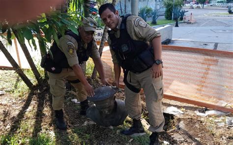 Guardas municipais recuperam busto do marinheiro Marcílio Dias no